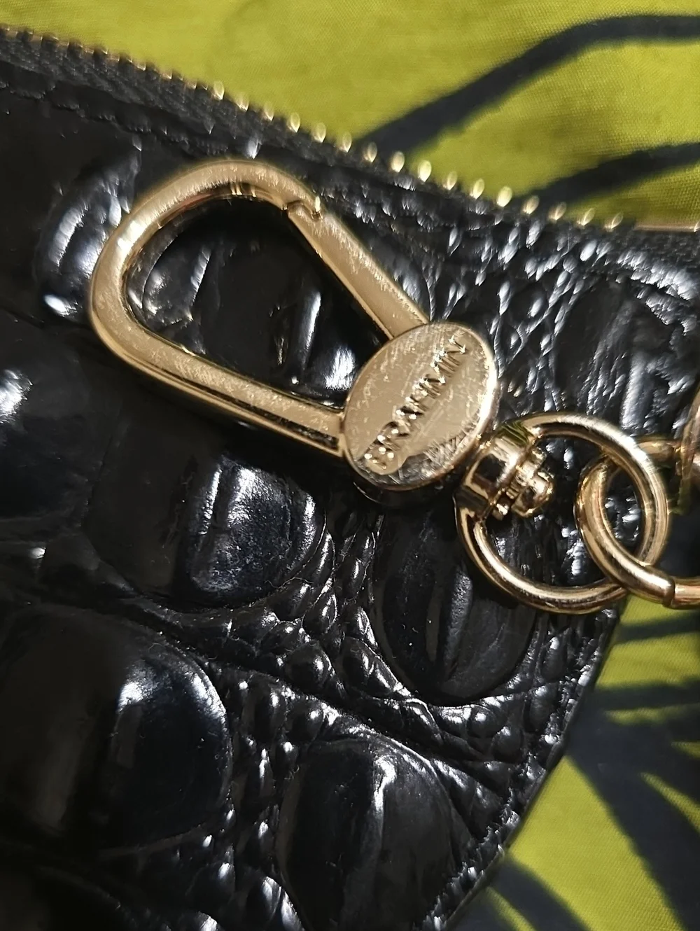 BRAHMIN Britt